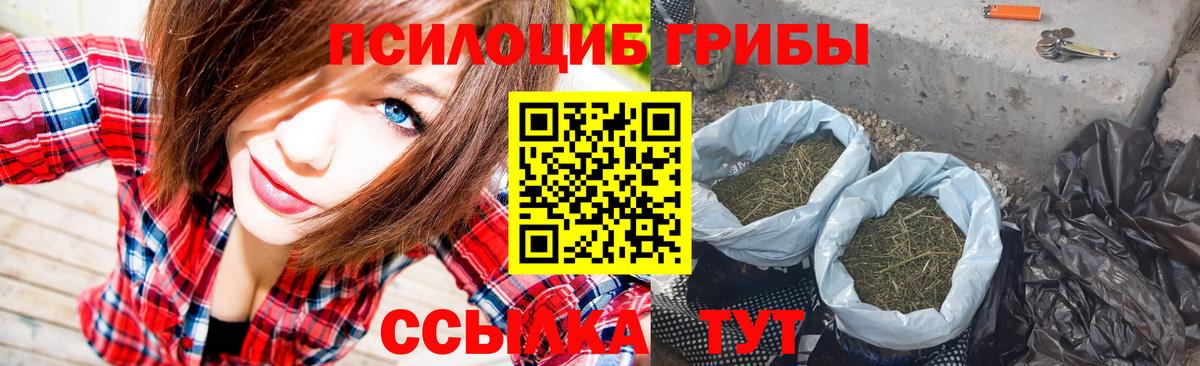 Галлюциногенные грибы GOLDEN TEACHER  Вход с VPN  Галлюциногенные грибы GOLDEN TEACHER  Йошкар-Ола 